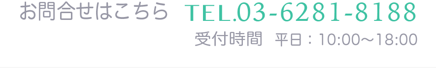 エステティックサロン総合賠償保険 株式会社 エヌシーアイ